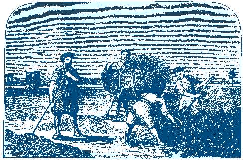 hay.gif
